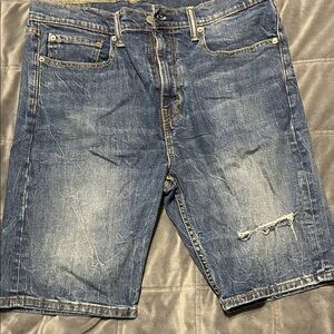 Levi's Classic Blue Denim Shorts for Men